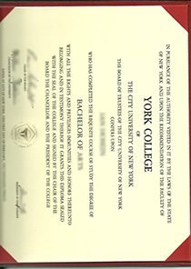 City University of New York of York College fake degree