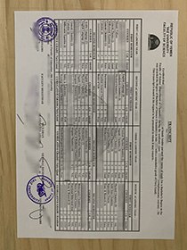 Republic of Yemen Taiz University fake transcript