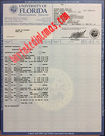 University of Florida fake transcript